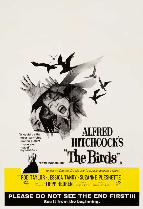 The Birds